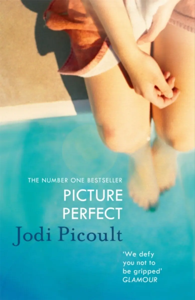 Picture Perfect - Jodi Picoultová