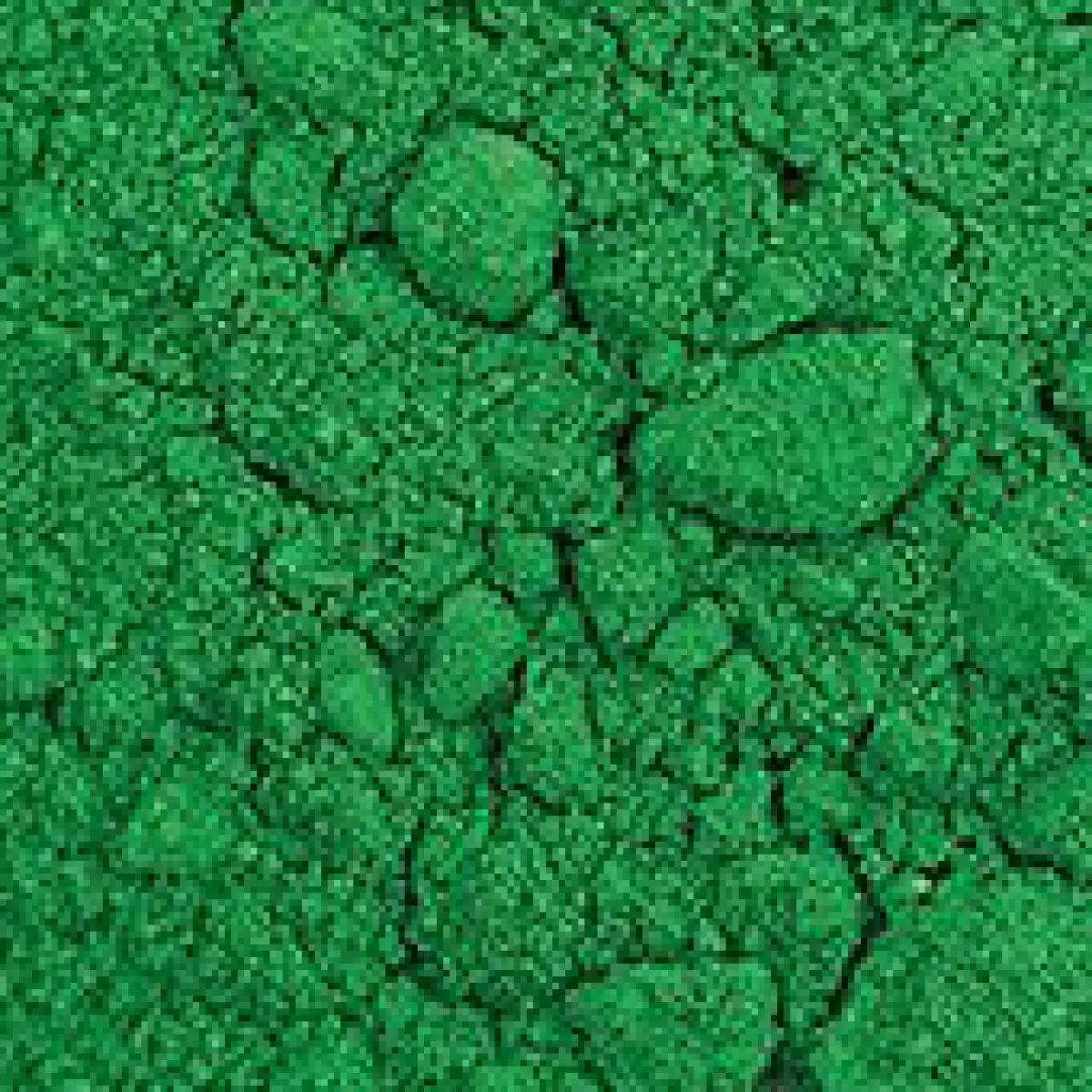 Pigment Zlatá loď 100g – 44510 Kadmiová zeleň tmavá (PW21, PY35, PB15:3)