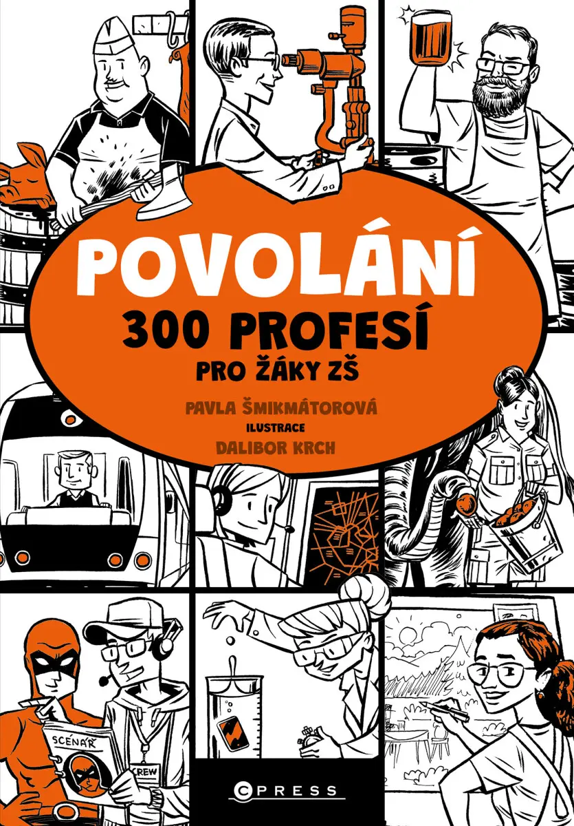 Povolání (300 profesí pro žáky ZŠ) - Pavla Šmikmátorová, Dalibor Krch (ilustrátor)