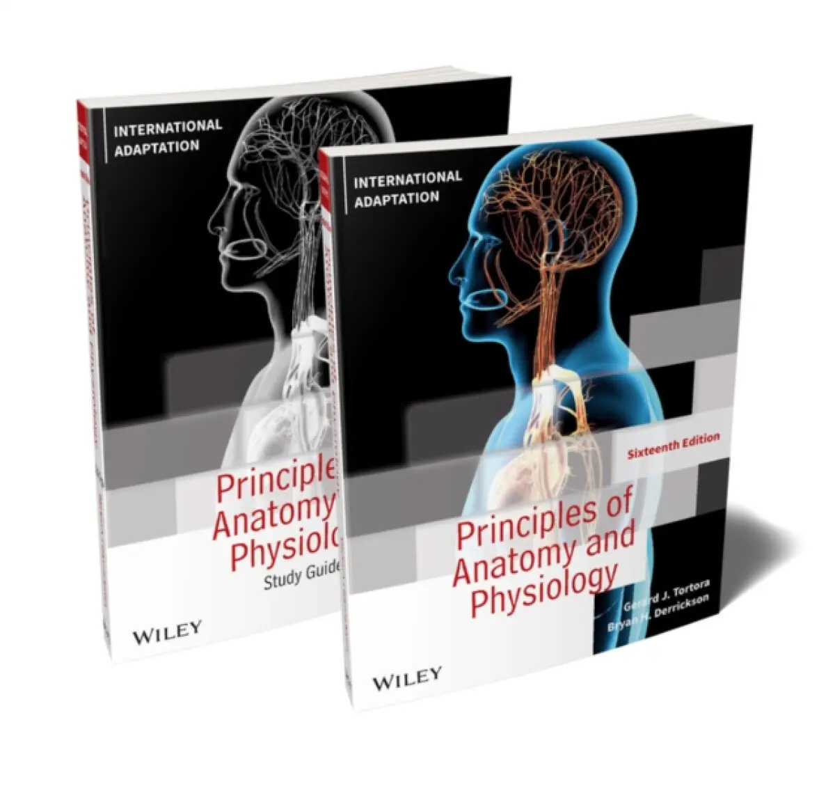Principles of Anatomy and Physiology, Sixteenth Edition + Study Guide International Adaptation Set - Bryan H. Derrickson, Gerard J. Tortora