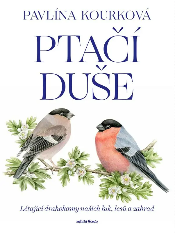 Ptačí duše - Létající drahokamy našich luk, zahrad a lesů - Pavlína Kourková
