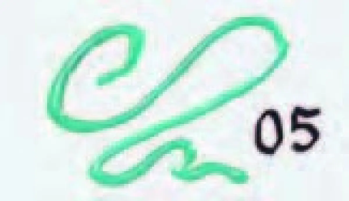 Renesans Liner Deco 20ml – Zelená