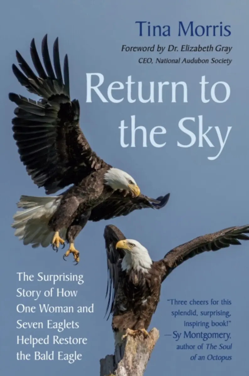 Return to the Sky - Elizabeth Gray, Tina Morris