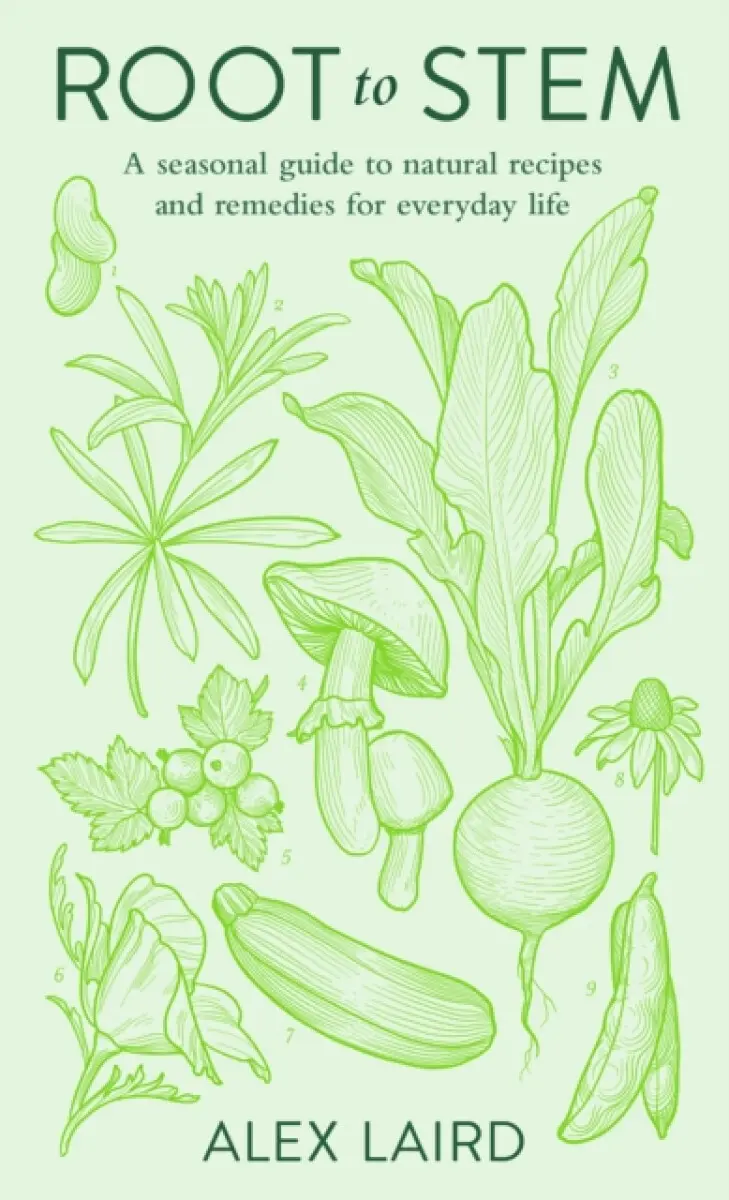 Root to Stem - Alex Laird