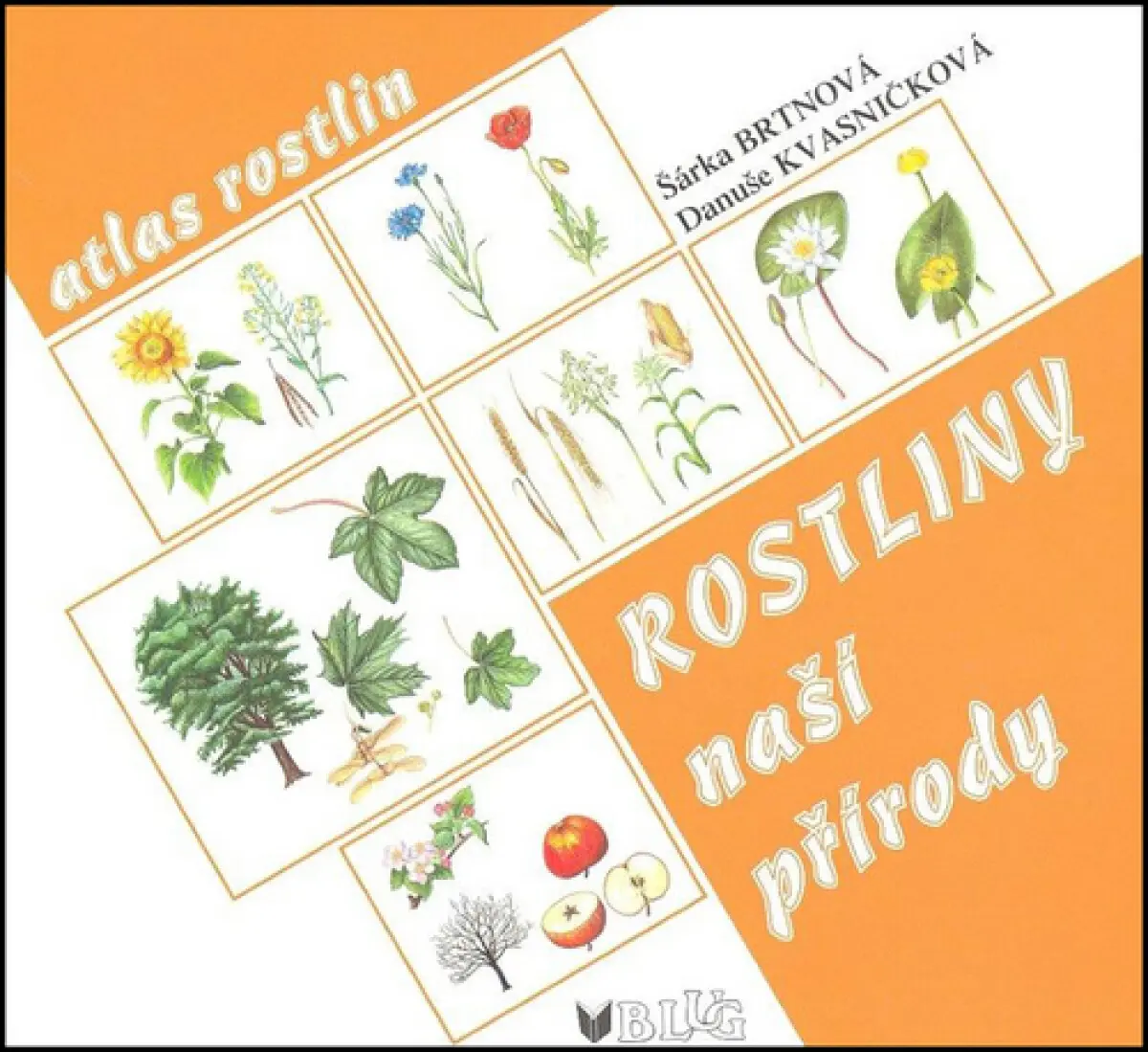 Rostliny naší přírody – manipulační atlas - Danuše Kvasničková