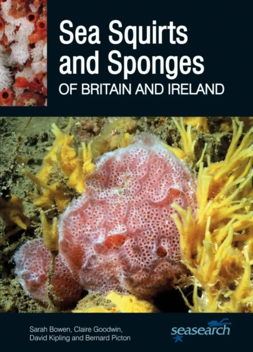 Sea Squirts and Sea Sponges of Britain and Ireland - Bernard Picton, Sarah Bowen, David Kipling, Claire Goodwin