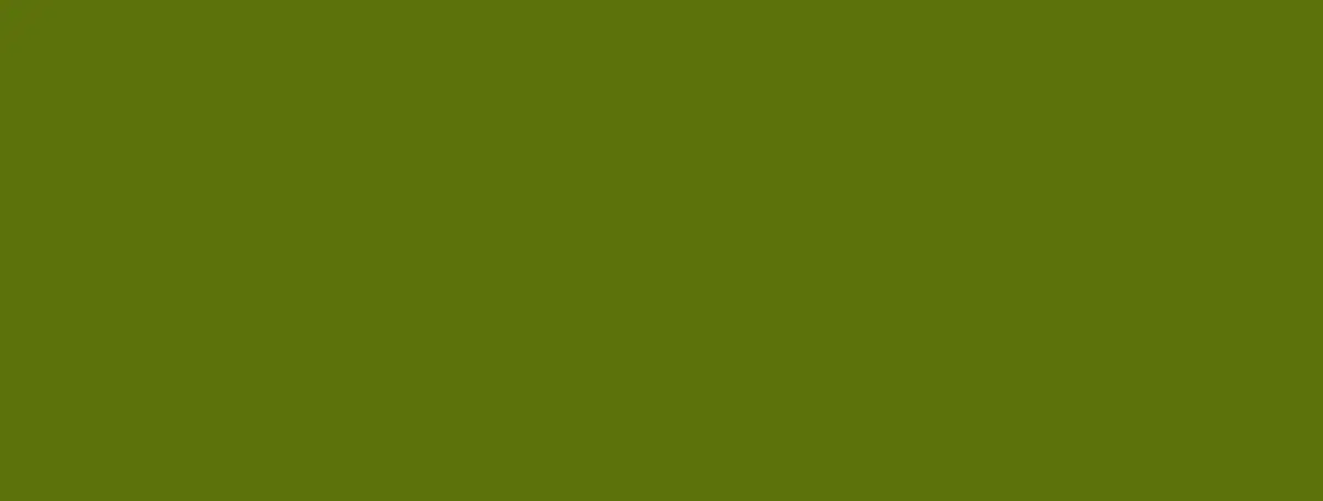 Setacolor Light F 45 ml - 28 Moss green