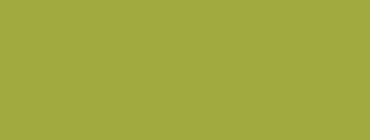 Setacolor Opaque 45 ml - 83 Olive