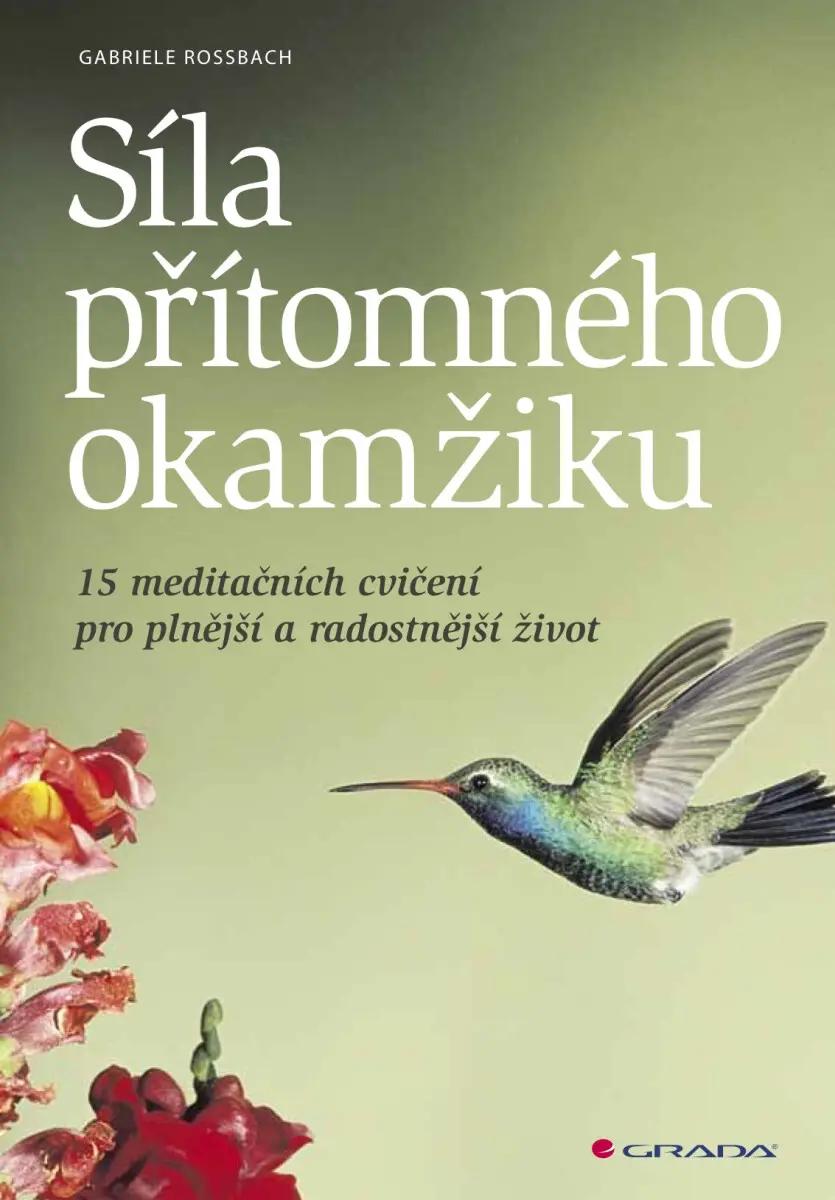 Síla přítomného okamžiku - Gabriele Rossbach