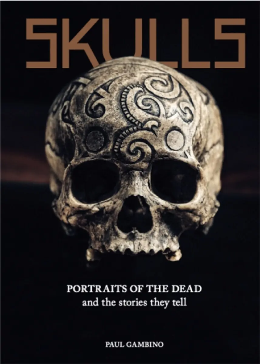 Skulls - Paul Gambino