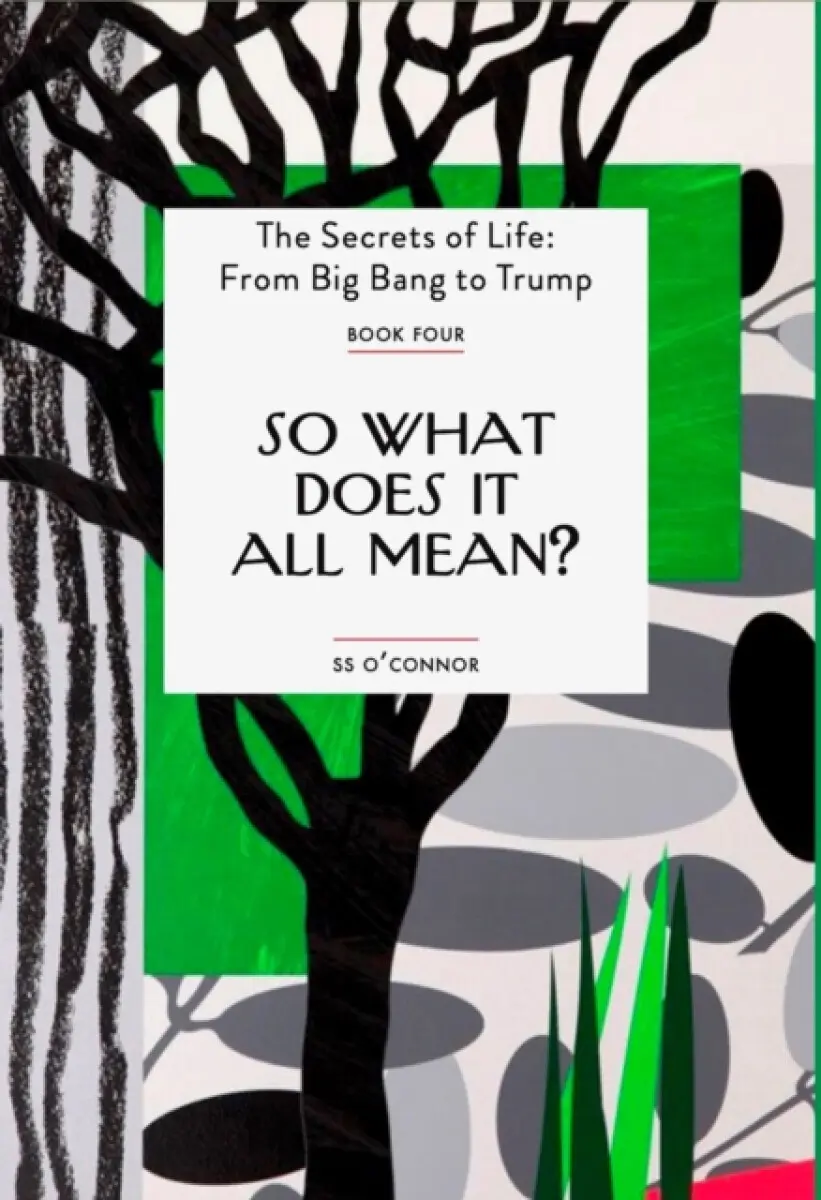 So What Does It All Mean? - S. S. O'Connor