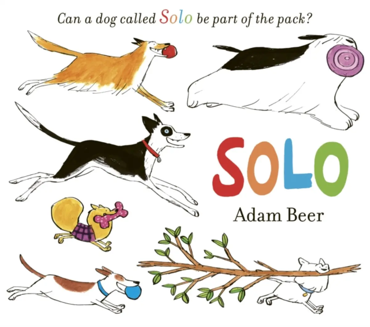 Solo - Adam Beer