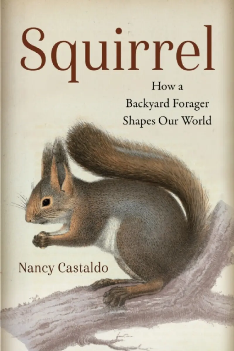 Squirrel - Castaldo Nancy