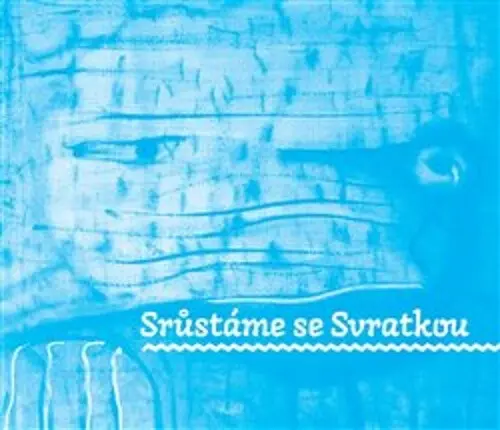 Srůstáme se Svratkou - František Hubatka, kolektiv autorů