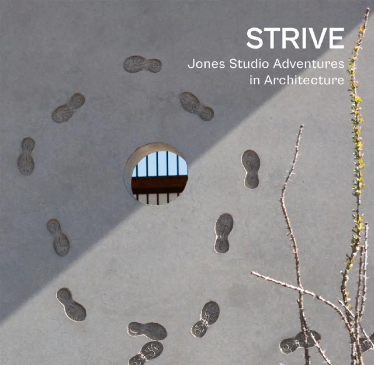 Strive - Marilu Knode, Marlon Blackwell