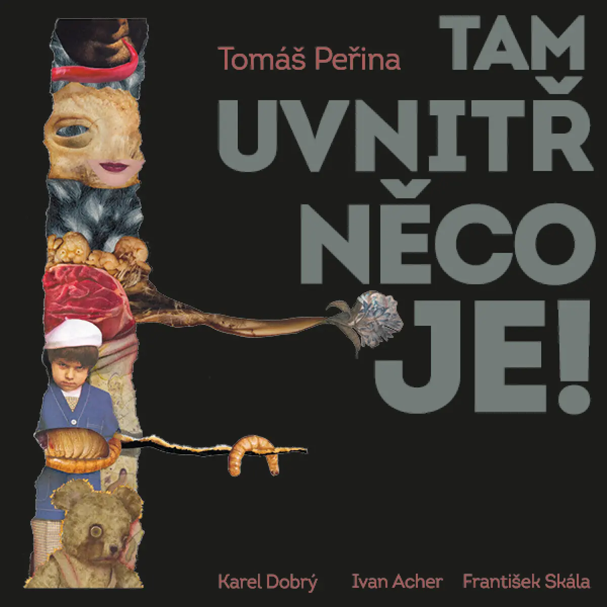 Tam uvnitř něco je! (audiokniha) - Tomáš Peřina