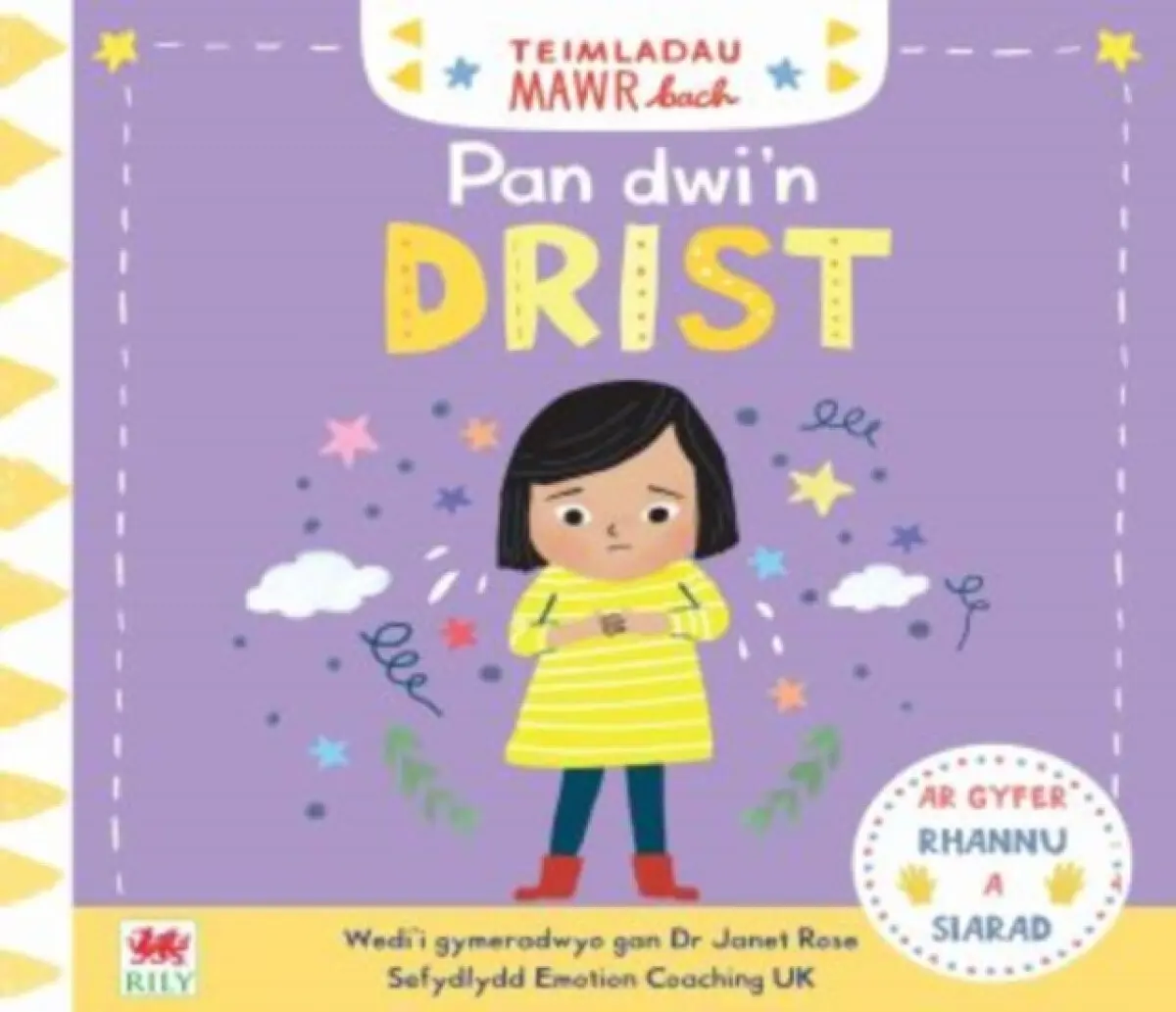 Teimladau Mawr Bach: Pan Dwi'n Drist - Campbell Books, Dr Janes Rose