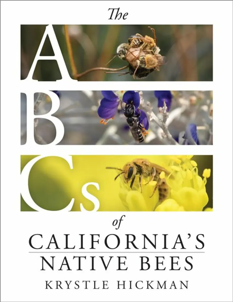 The ABCs of California's Native Bees - Krystle Hickman
