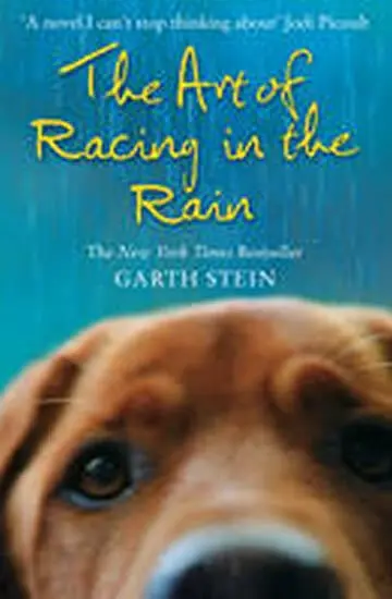 Art of Racing in the Rain - Stein, Garth