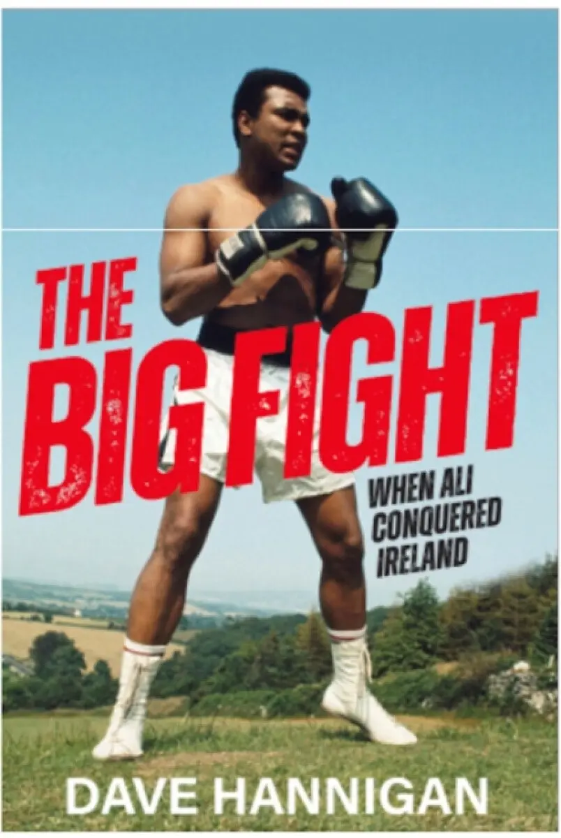 The Big Fight - Dave Hannigan