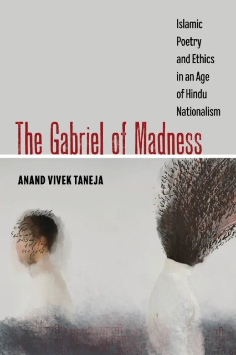 The Gabriel of Madness - Anand Vivek Taneja