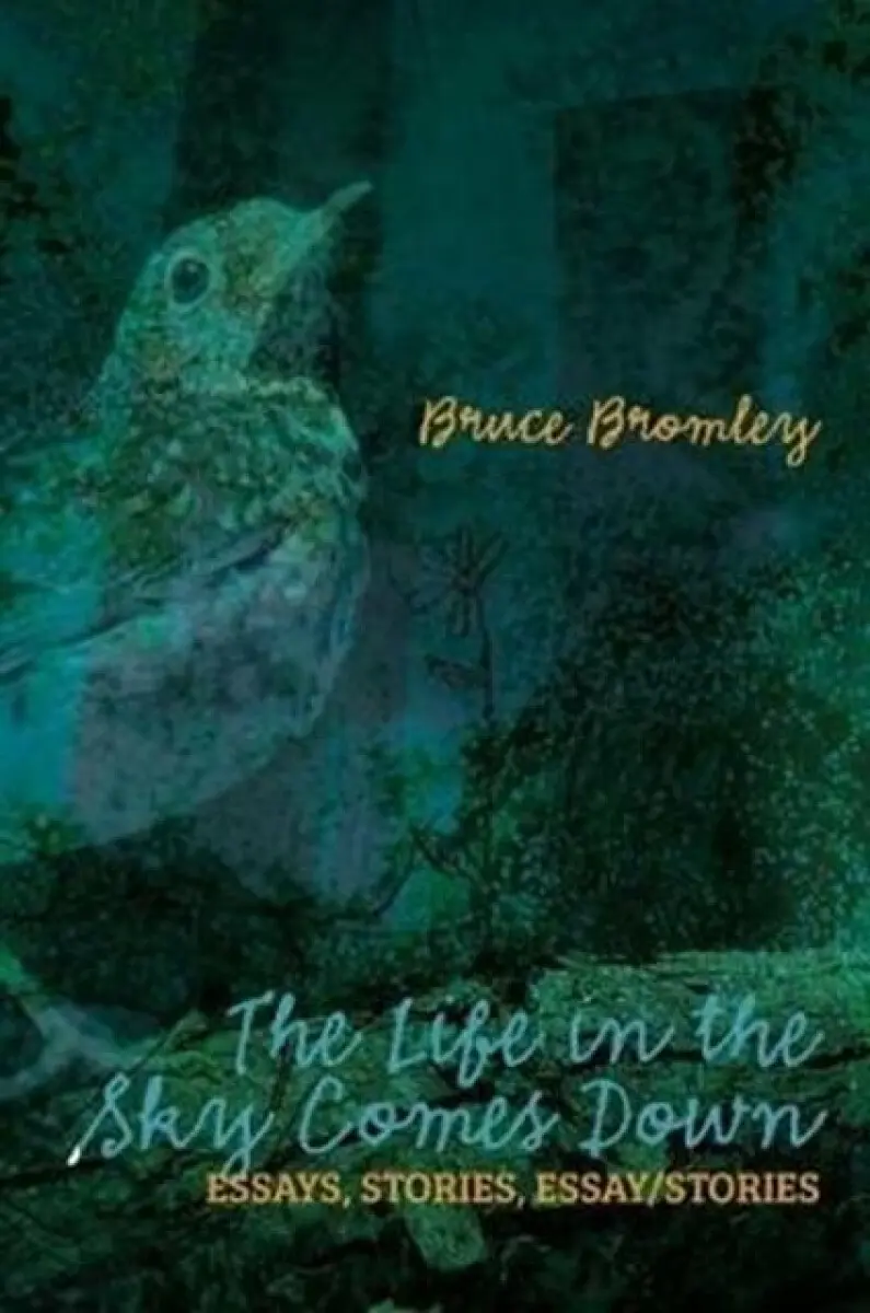 The Life in the Sky Comes Down - Bruce D Bromley
