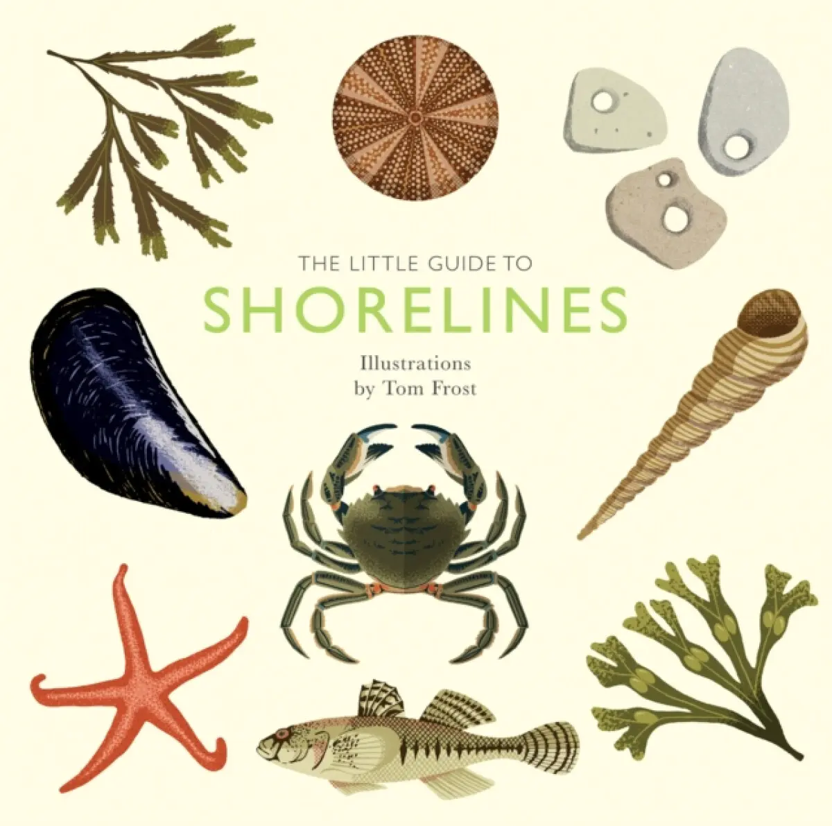 The Little Guide to Shorelines - Alison Daviesová
