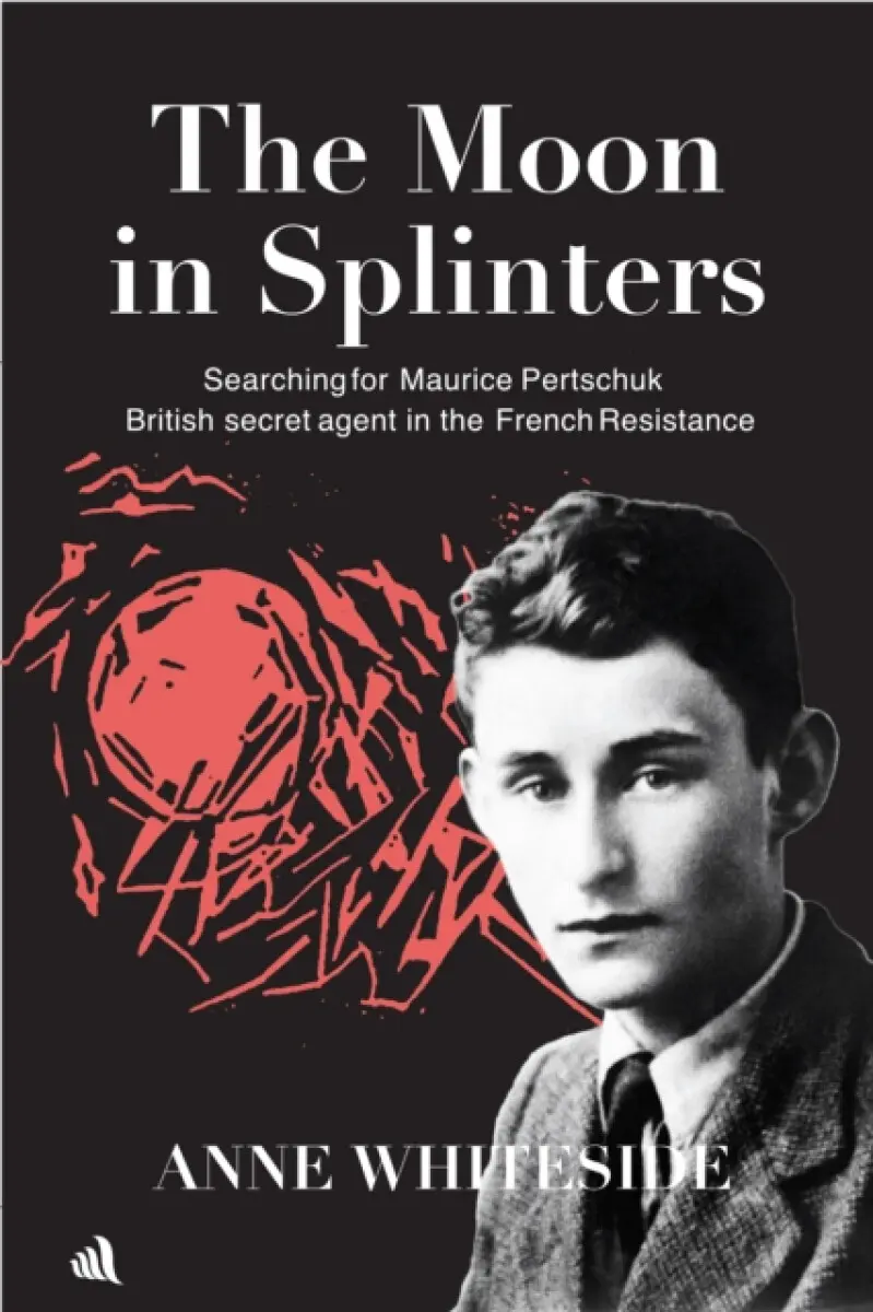 The Moon in Splinters - Anne Whiteside