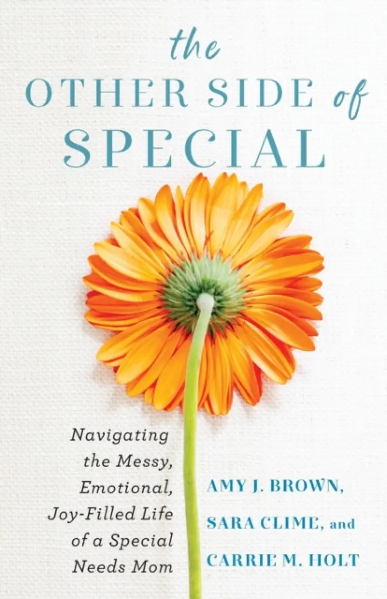 The Other Side of Special - Amy J Brown, Sara Clime, Carrie M Holt