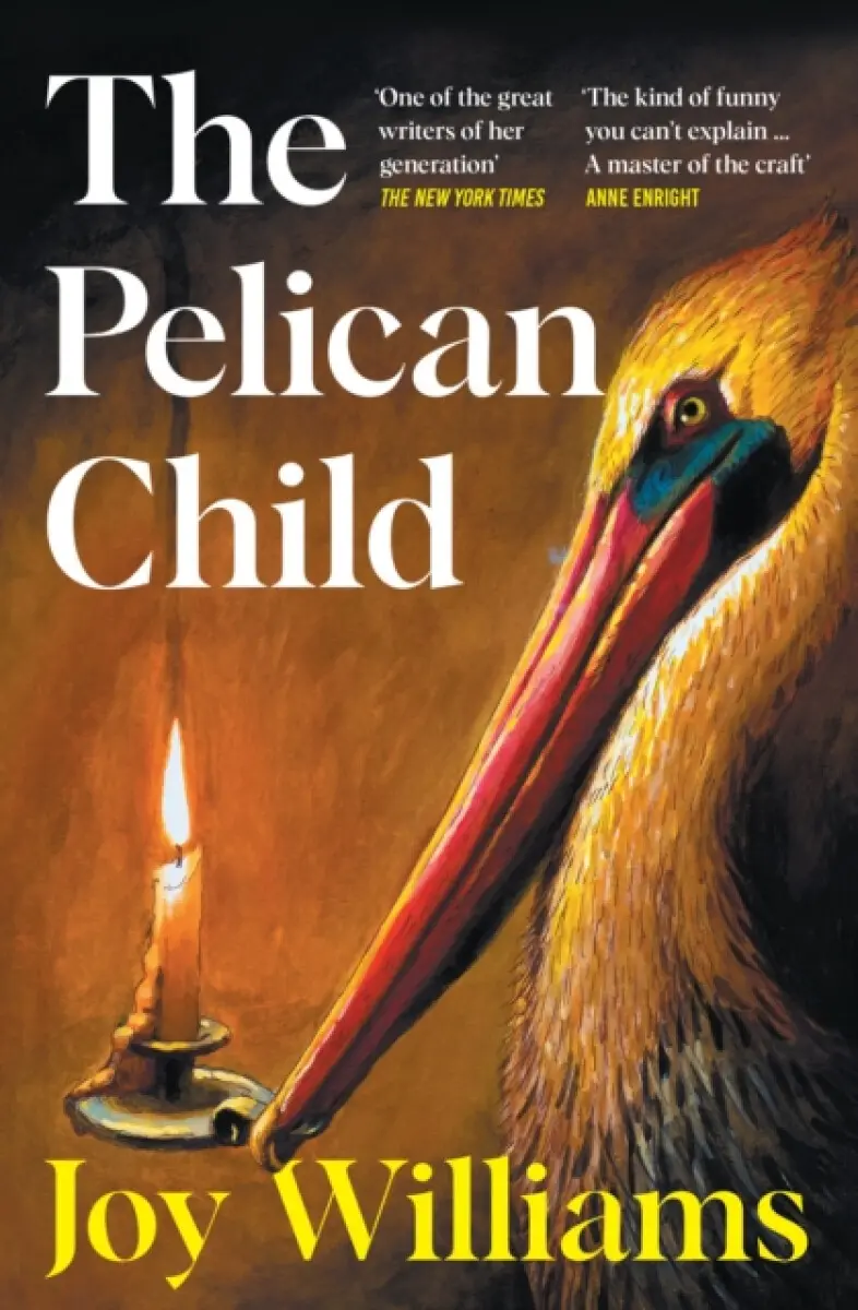 The Pelican Child - Joy Williams