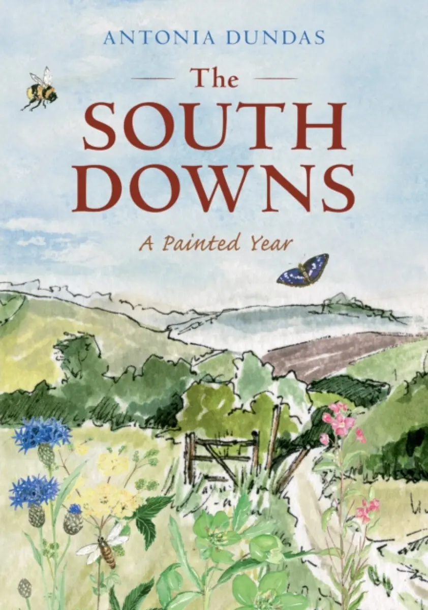 The South Downs - Antonia Dundas