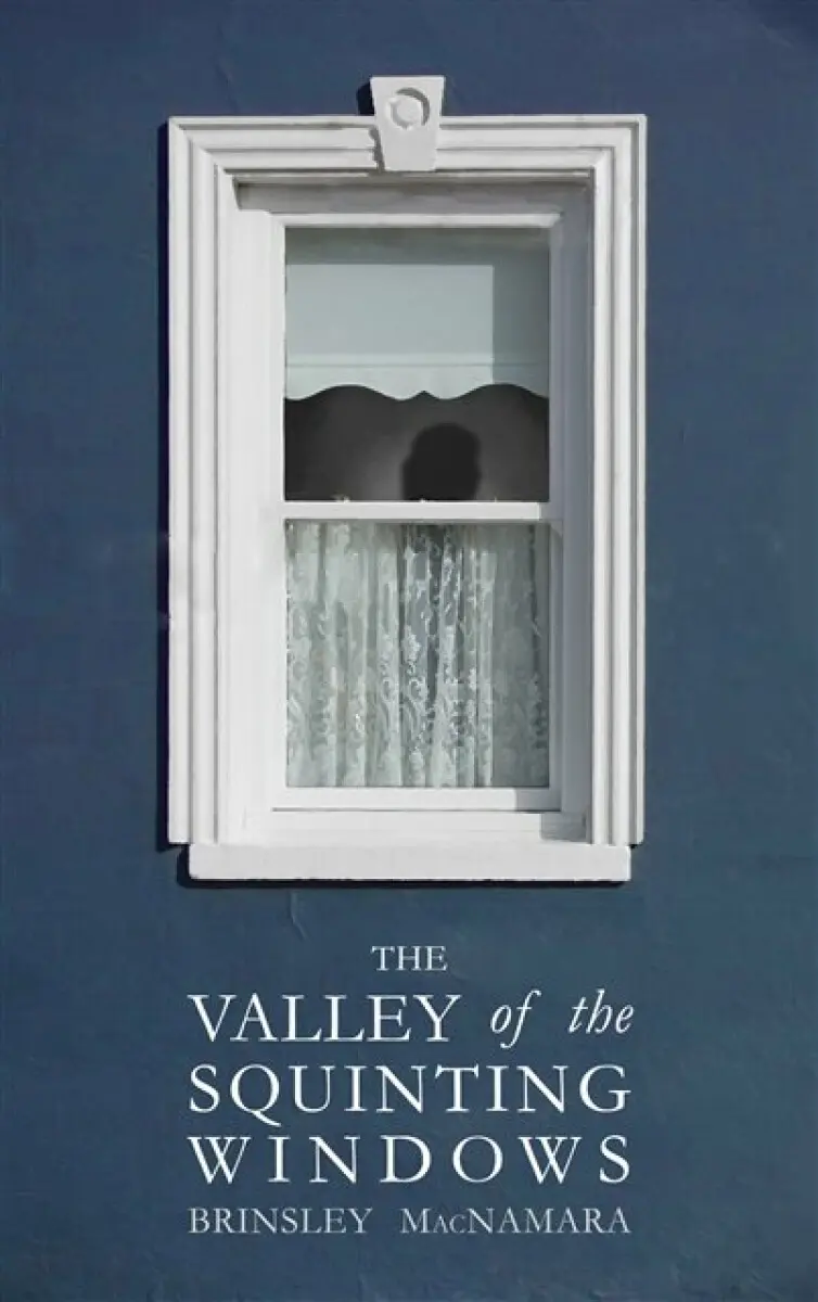 The Valley of the Squinting Windows - Brinsley McNamara