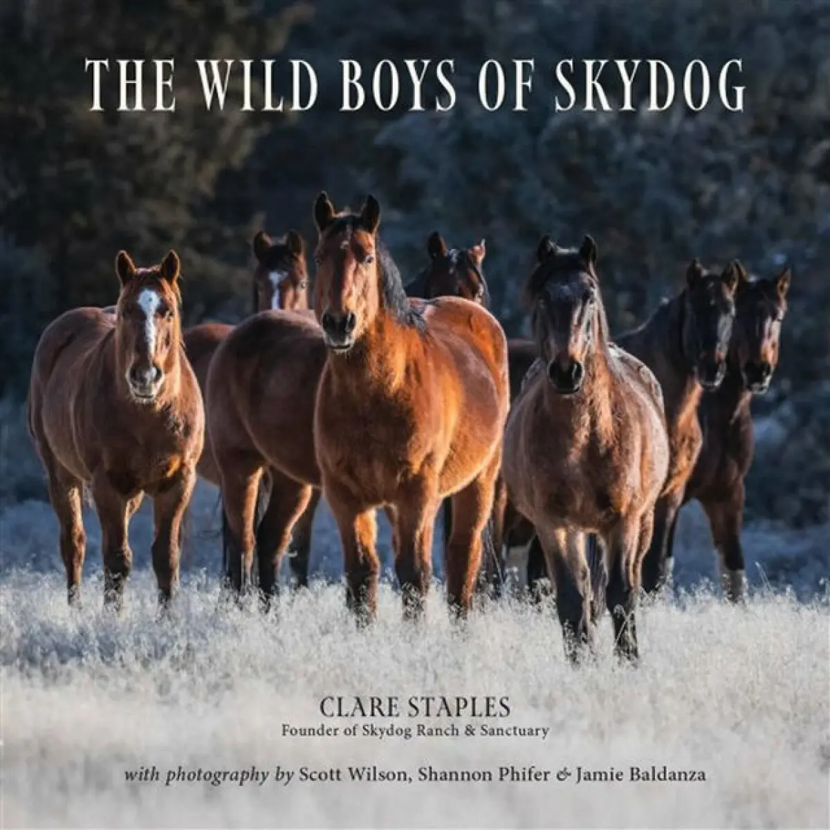 Wild Boys of Skydog - Clare Staples