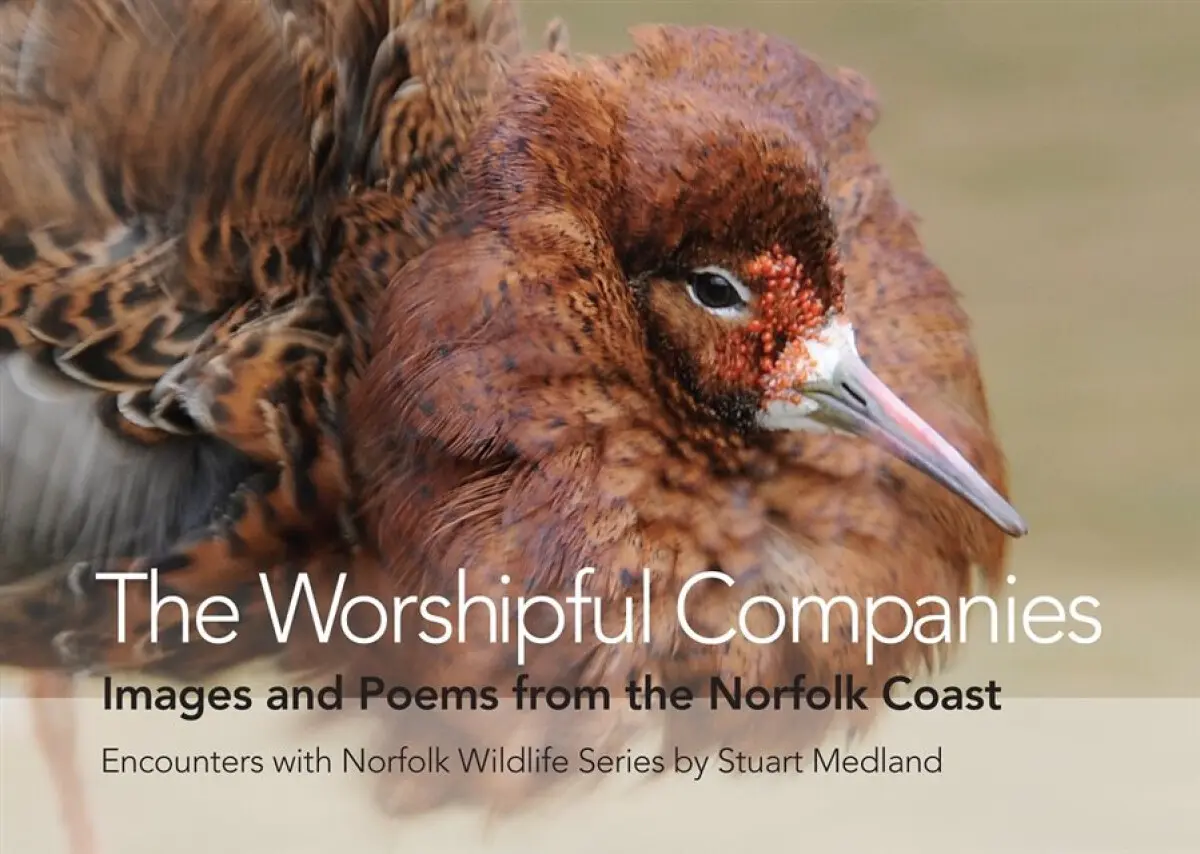 The Worshipful Companies - Stuart Medland