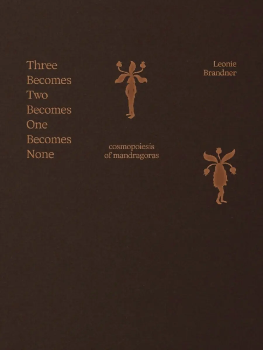 Three Becomes Two Becomes One Becomes None - Leonie Brandner
