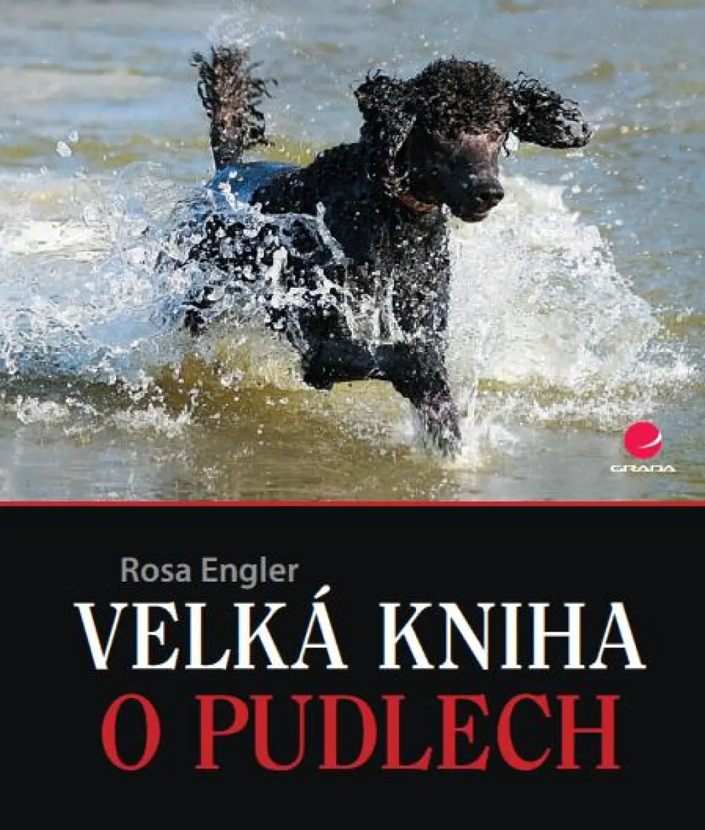 Velká kniha o pudlech - Rosa Engler