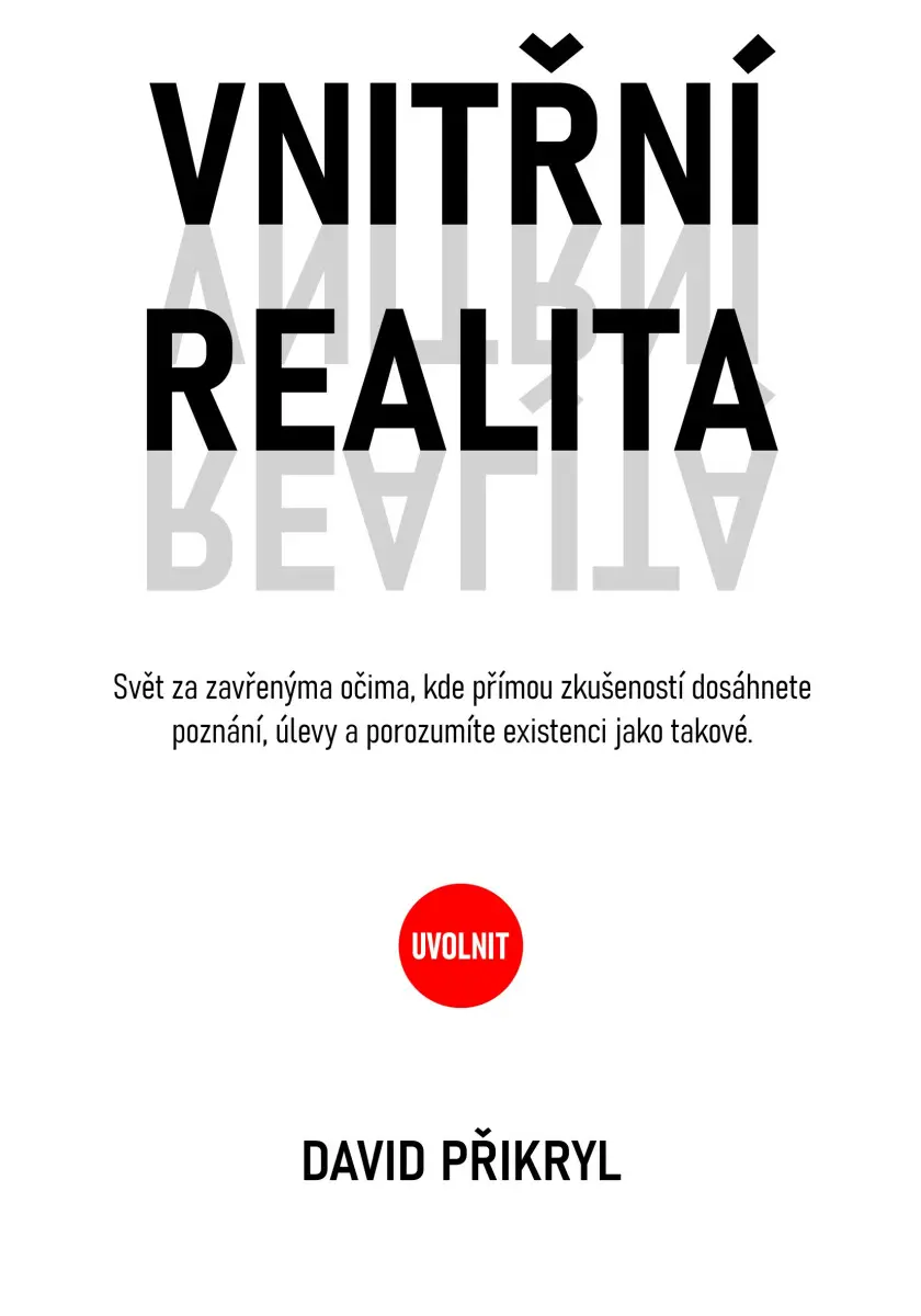 Vnitřní realita - David Přikryl