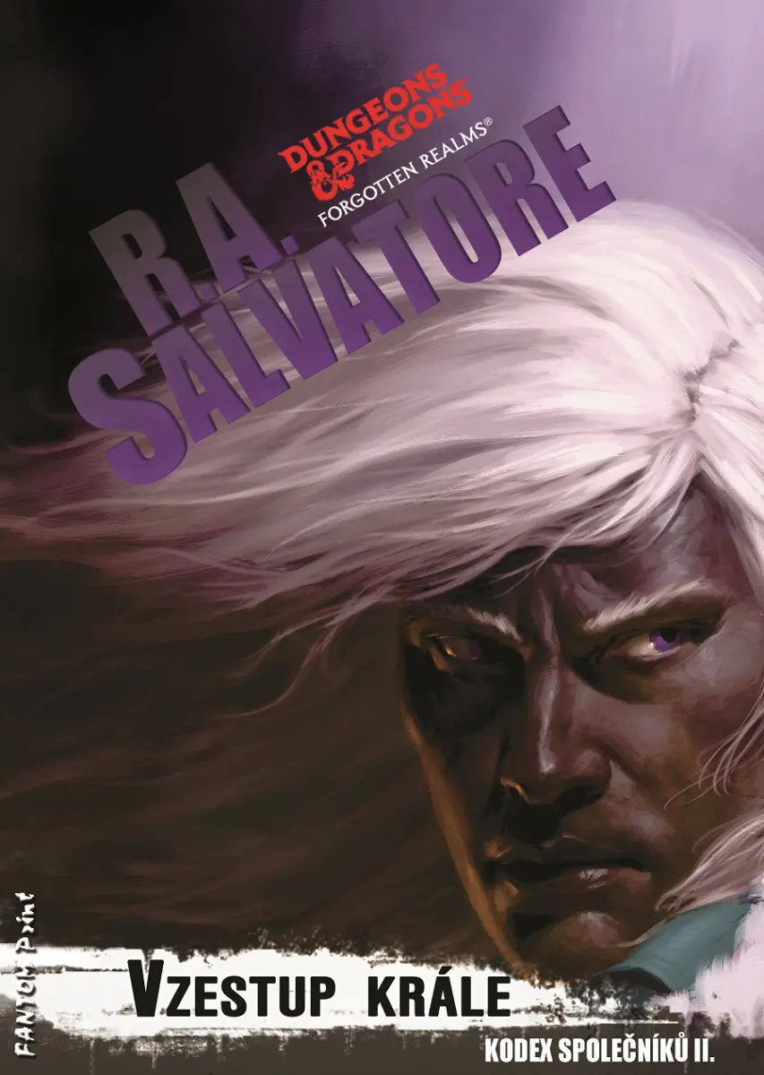 Vzestup krále - Robert Anthony Salvatore