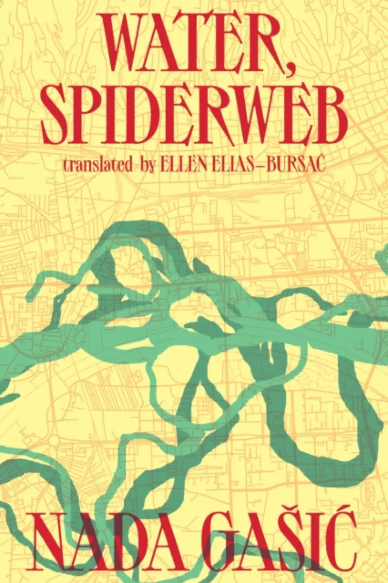 Water, Spiderweb - Nada Gašic
