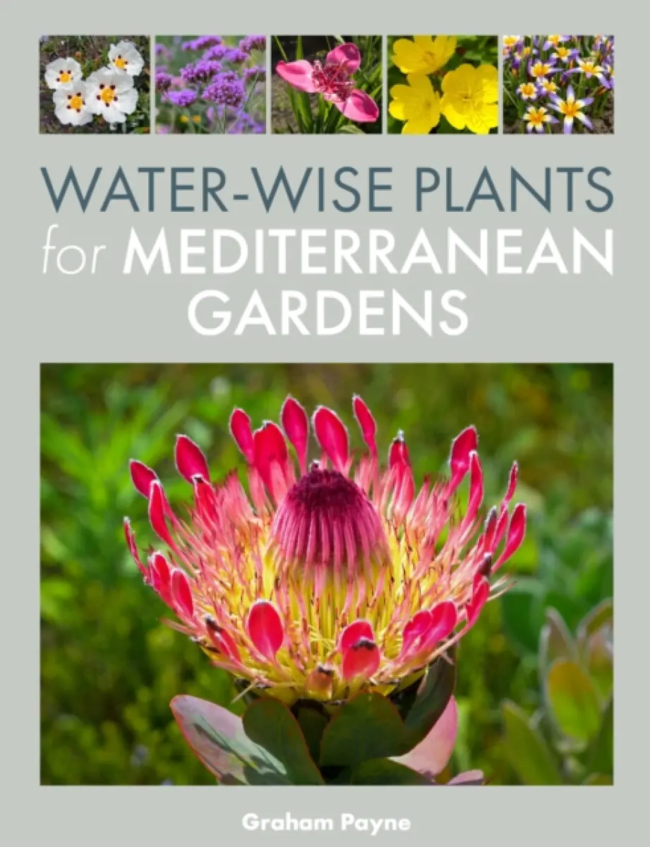 Water-Wise Plants for Mediterranean Gardens - Graham Payne