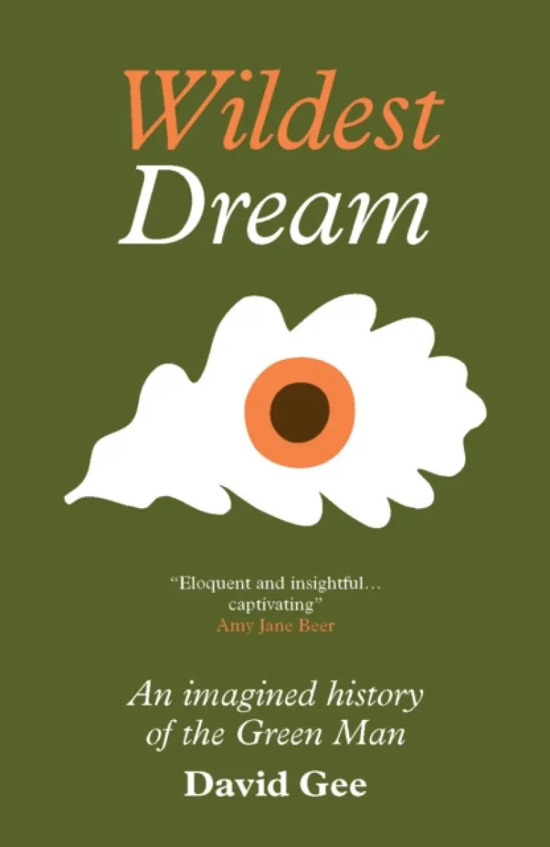 Wildest Dream - David Gee