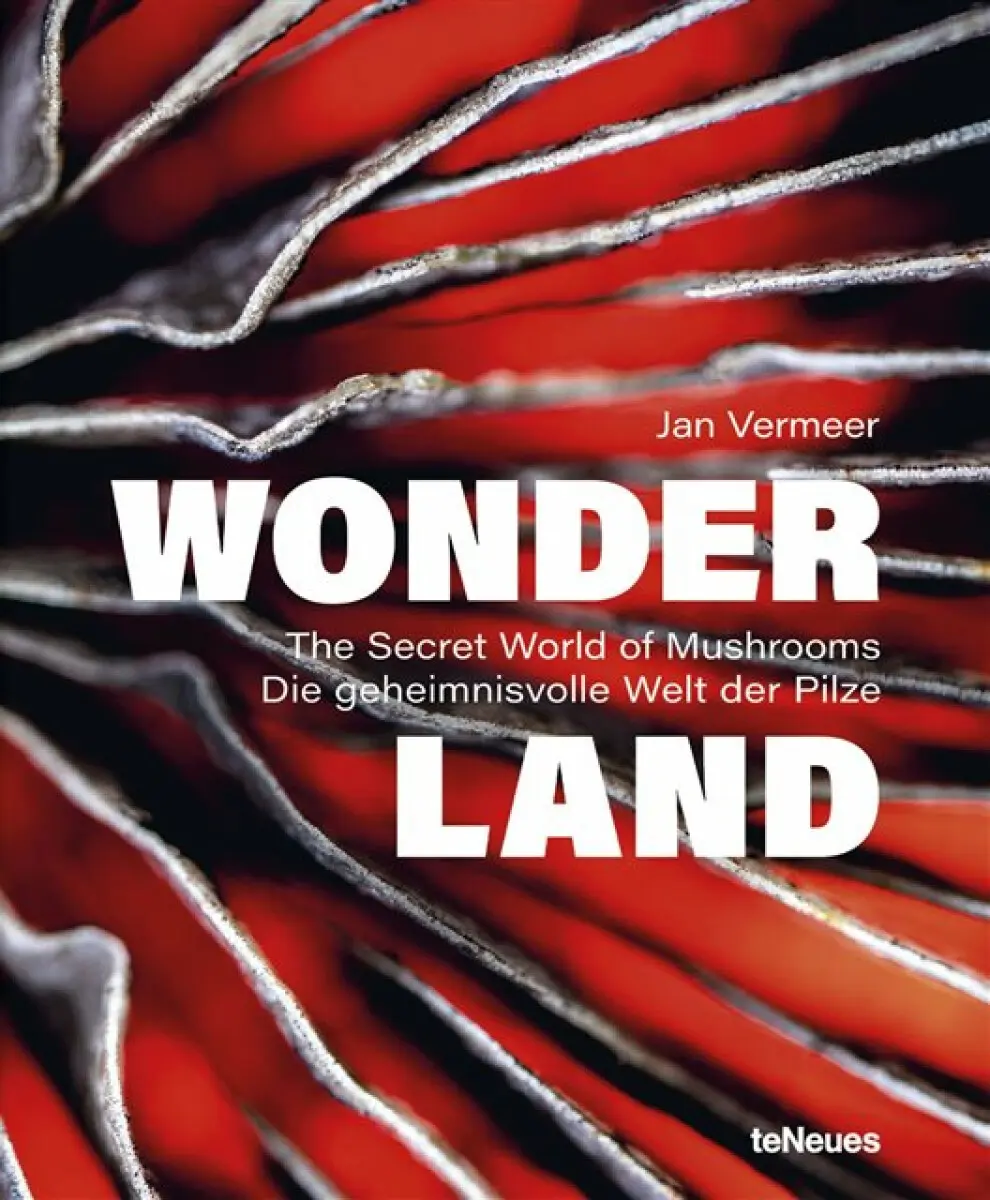 Wonderland - Jan Vermeer