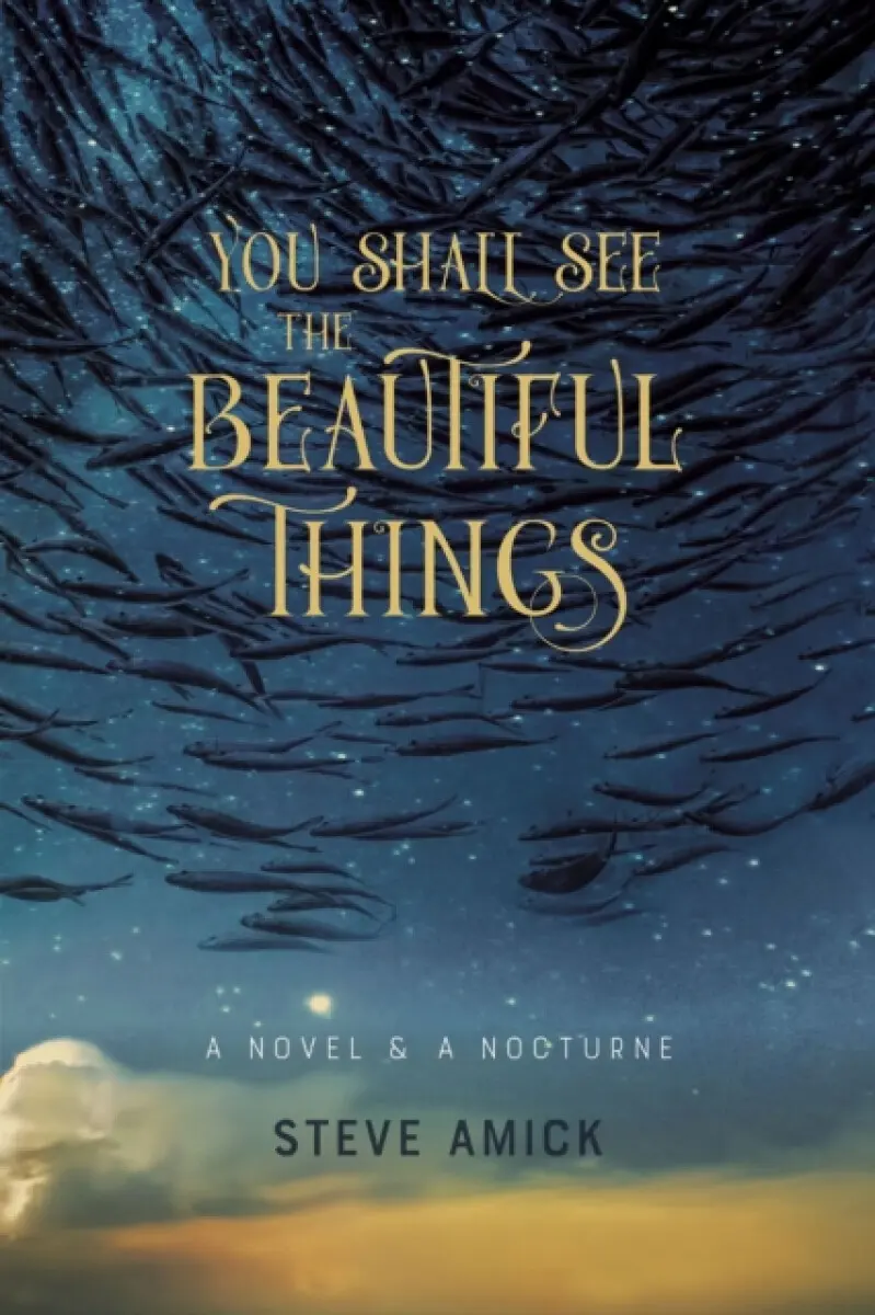 You Shall See the Beautiful Things – A Novel & A Nocturne - Steve Amick