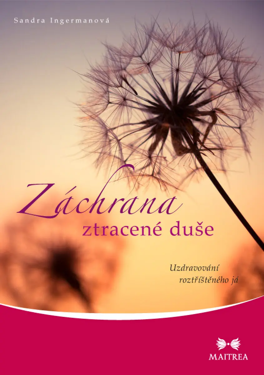 Záchrana ztracené duše - Sandra Ingermanová