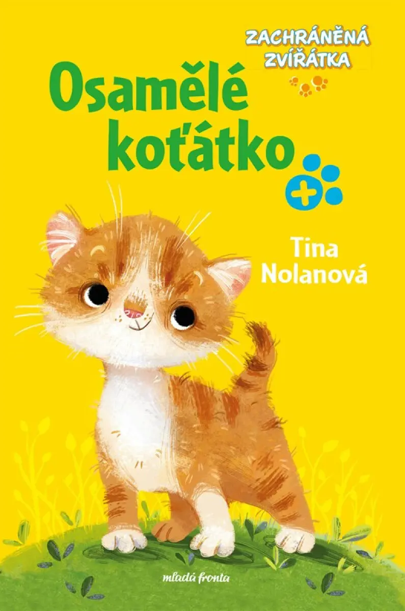 Zachráněná zvířátka: Osamělé koťátko - Tina Nolan, Anna Chernysh (ilustrátor) - kniha z kategorie Rozprávky