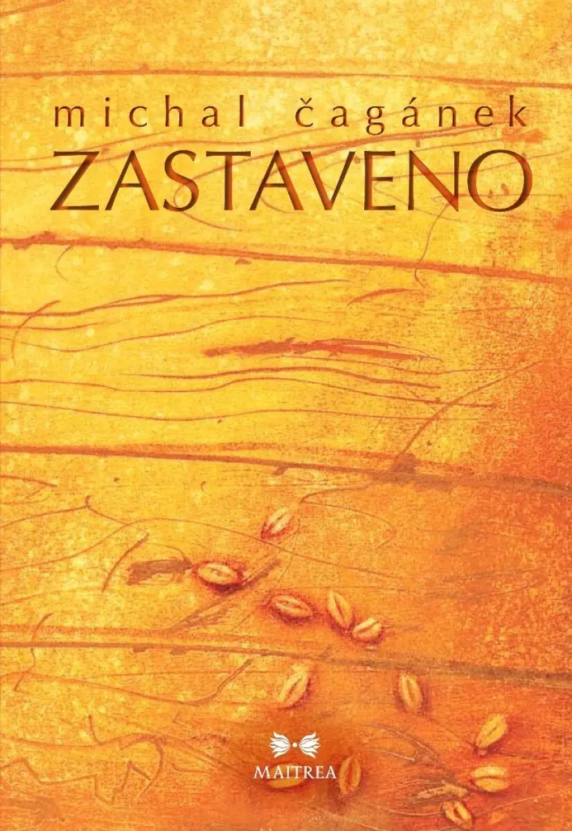 Zastaveno - Michal Čagánek