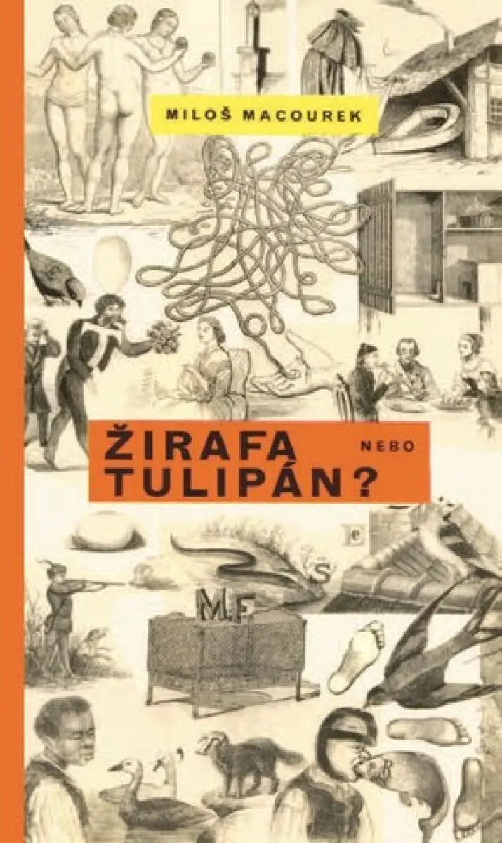 Žirafa nebo tulipán - Miloš Macourek, Adolf Hoffmeister (ilustrátor)