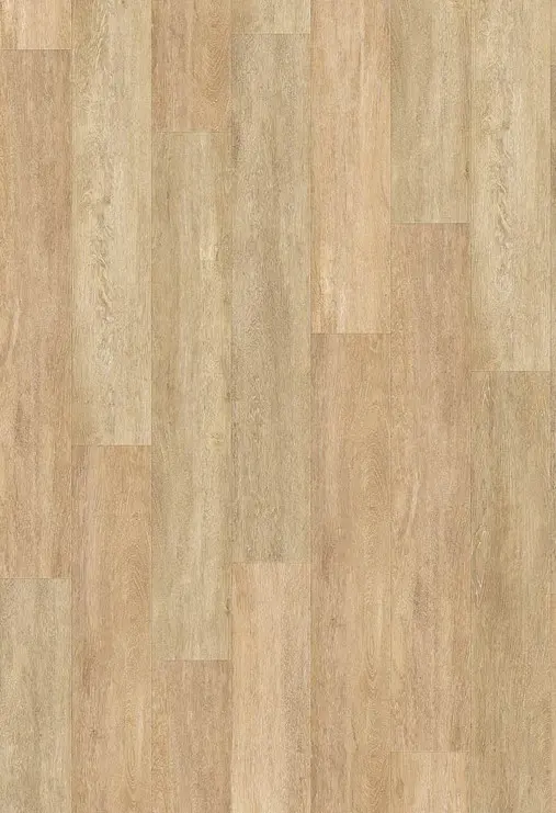 Vinylová podlaha Creation 55 Honey Oak 0441 - lepená 184x1219 mm