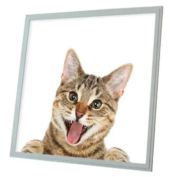 LED panel s motivem kočka 60x60cm 40W 4200lm denní