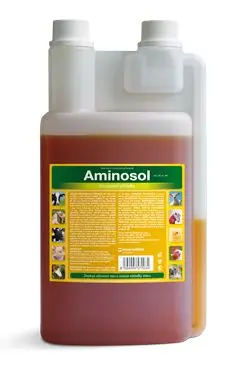 Aminosol sol 1000ml
